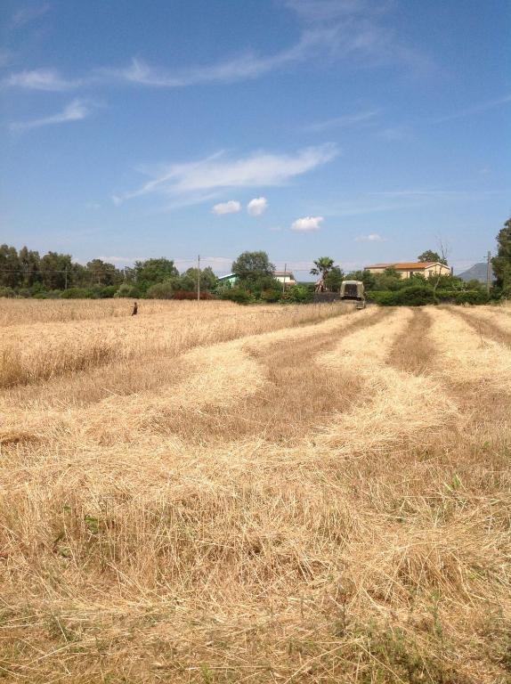 Agriturismo Il Paradiso 이글레시아스 외부 사진