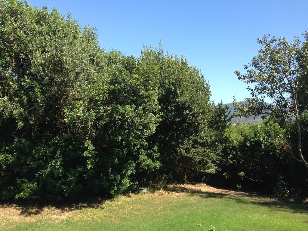 Agriturismo Il Paradiso 이글레시아스 외부 사진