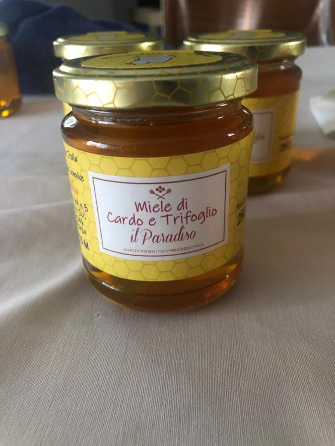 Agriturismo Il Paradiso 이글레시아스 외부 사진